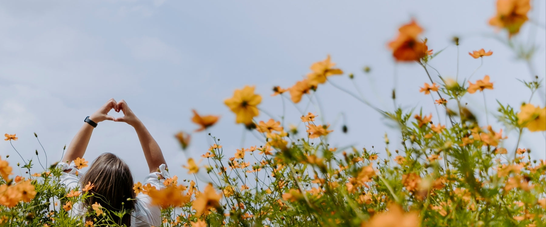 Meer zon, meer energie? Zo werkt het écht in je brein