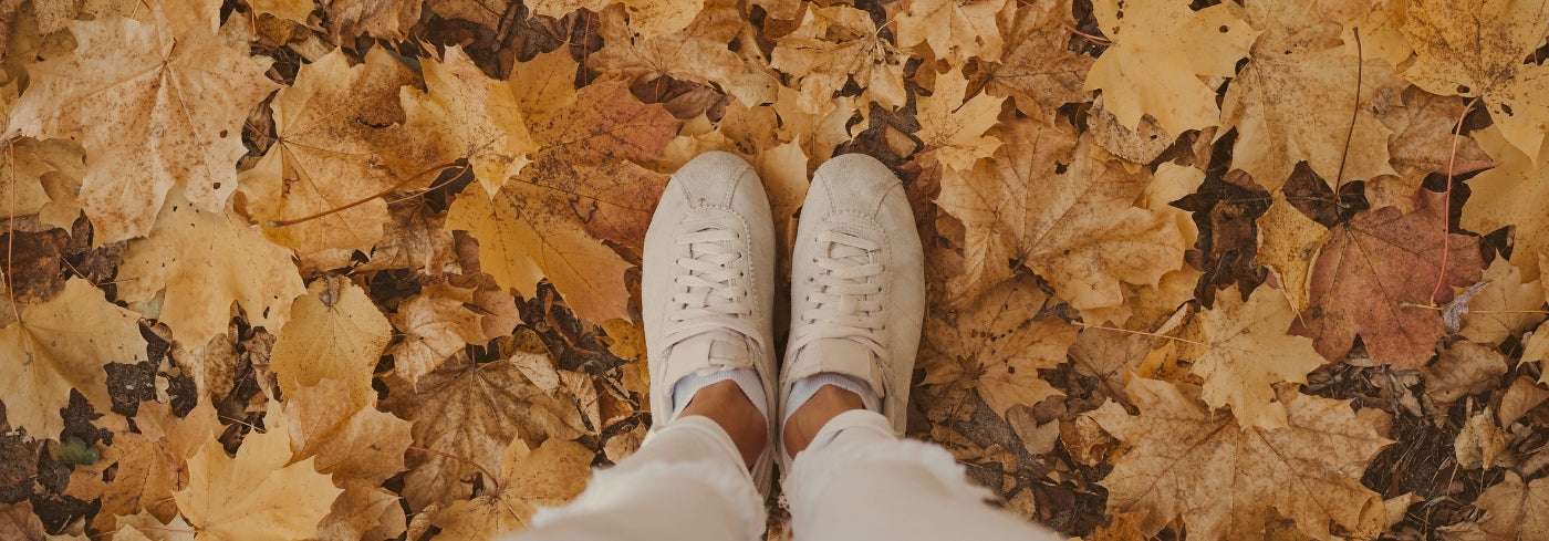 De herfst is een prachtig seizoen