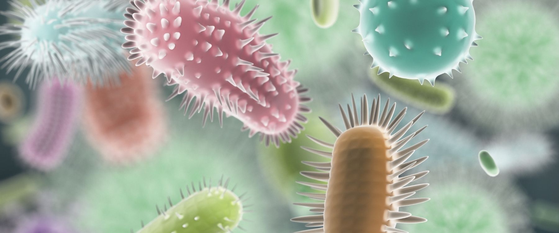 Fermentatie, bacteriën en metabolieten: zo werken postbiotica écht