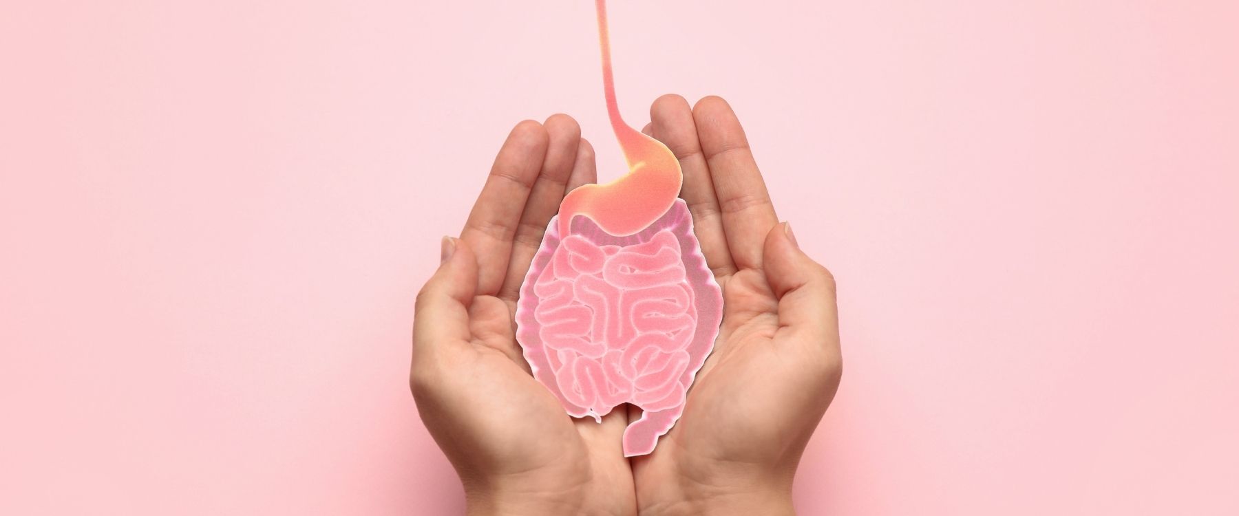 Hoe werken Postbiotica™ in je lichaam? Een eenvoudige uitleg