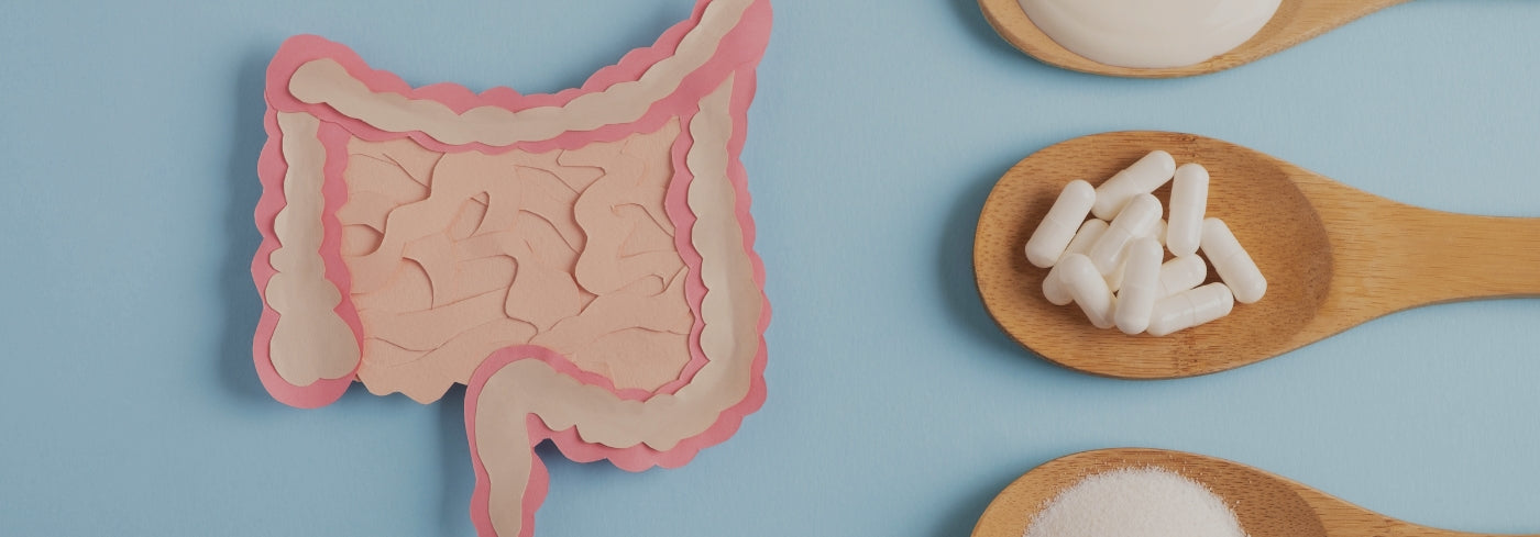 Prikkelbare Darm Syndroom (PDS): oorzaken, symptomen en behandelopties