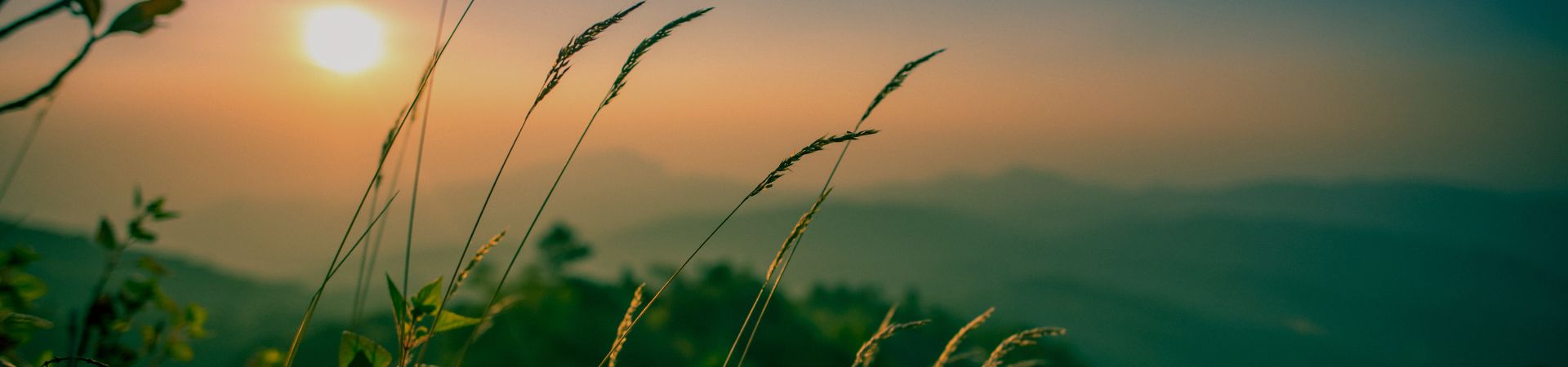 Veganisme supplementen