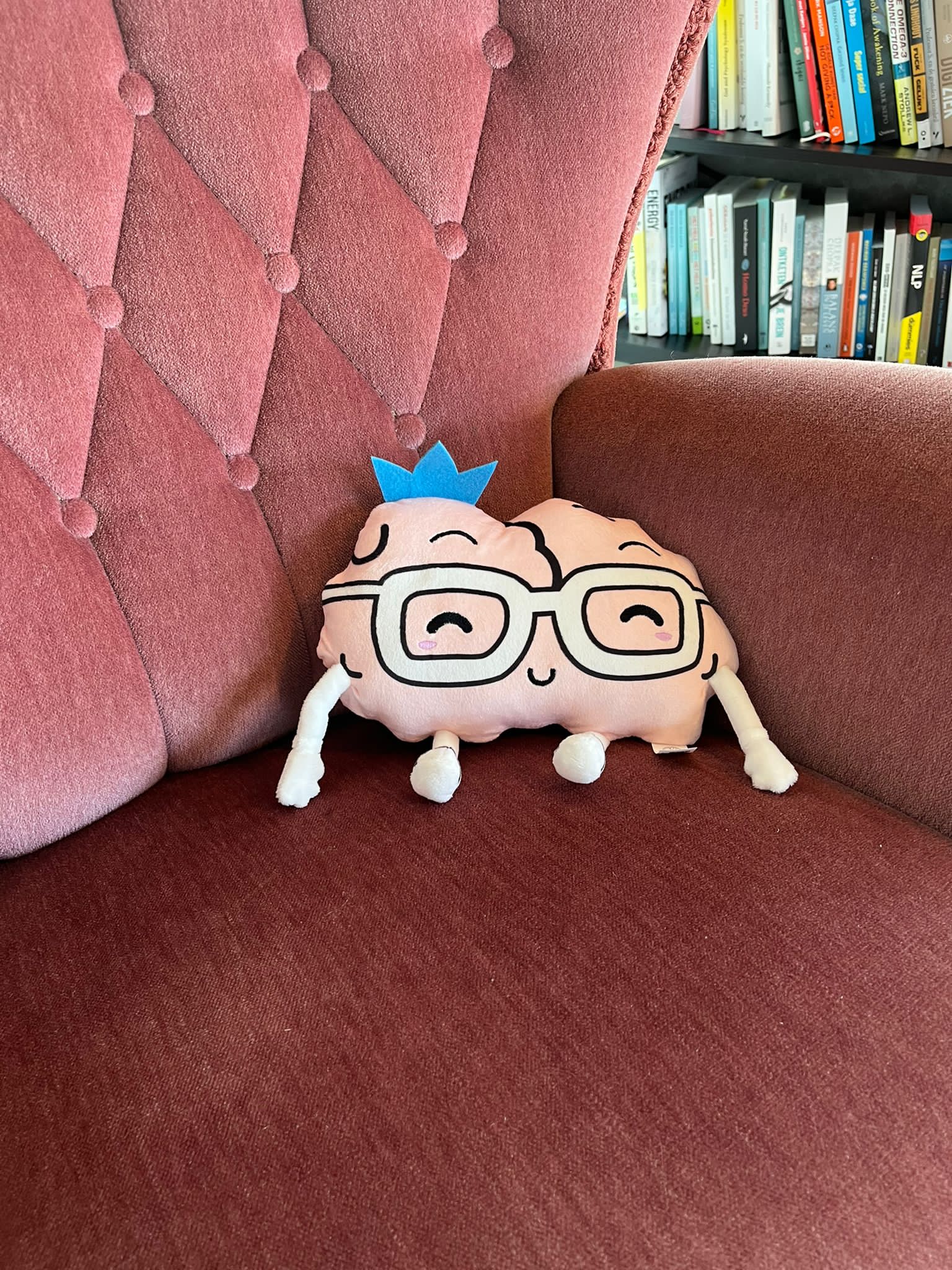 Anton de brein knuffel Charlotte Labee