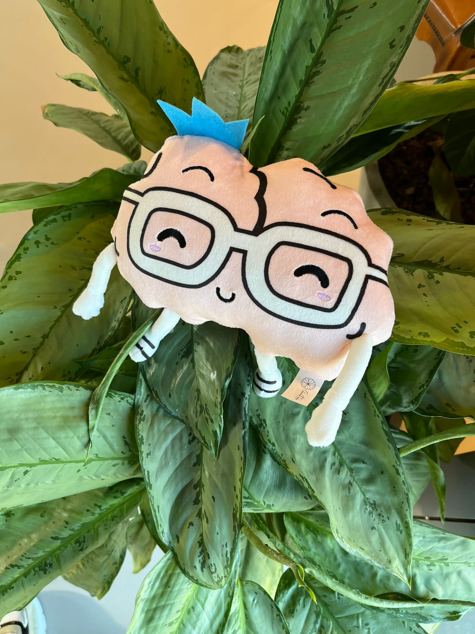 Anton de brein knuffel Charlotte Labee