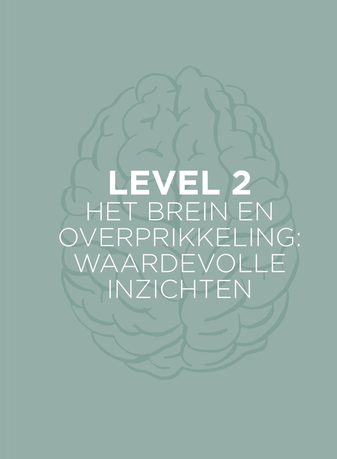 Boek Overprikkeld Brein Charlotte Labee