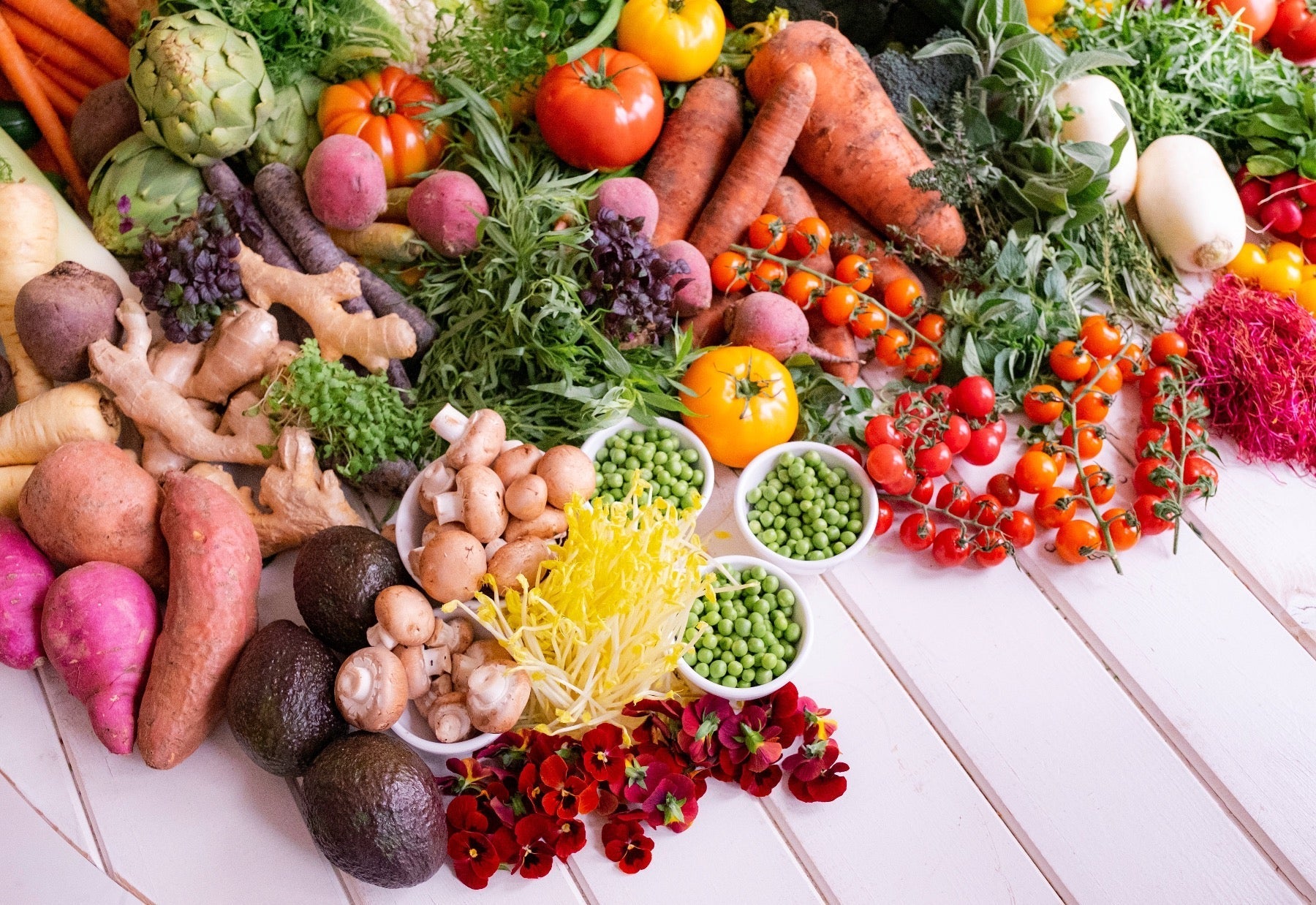 Brain Food Training Charlotte Labee