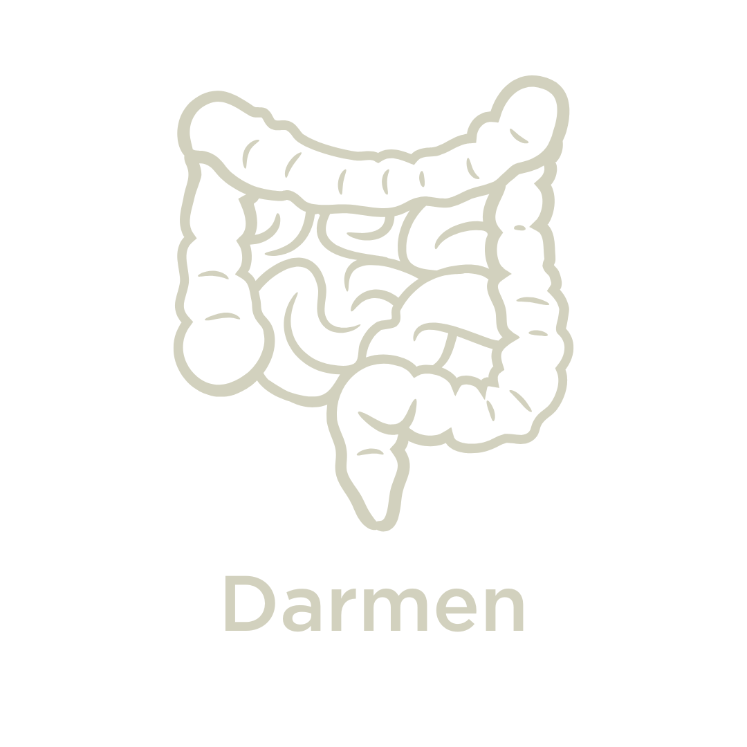 Gezondheidsdoelen_darmen