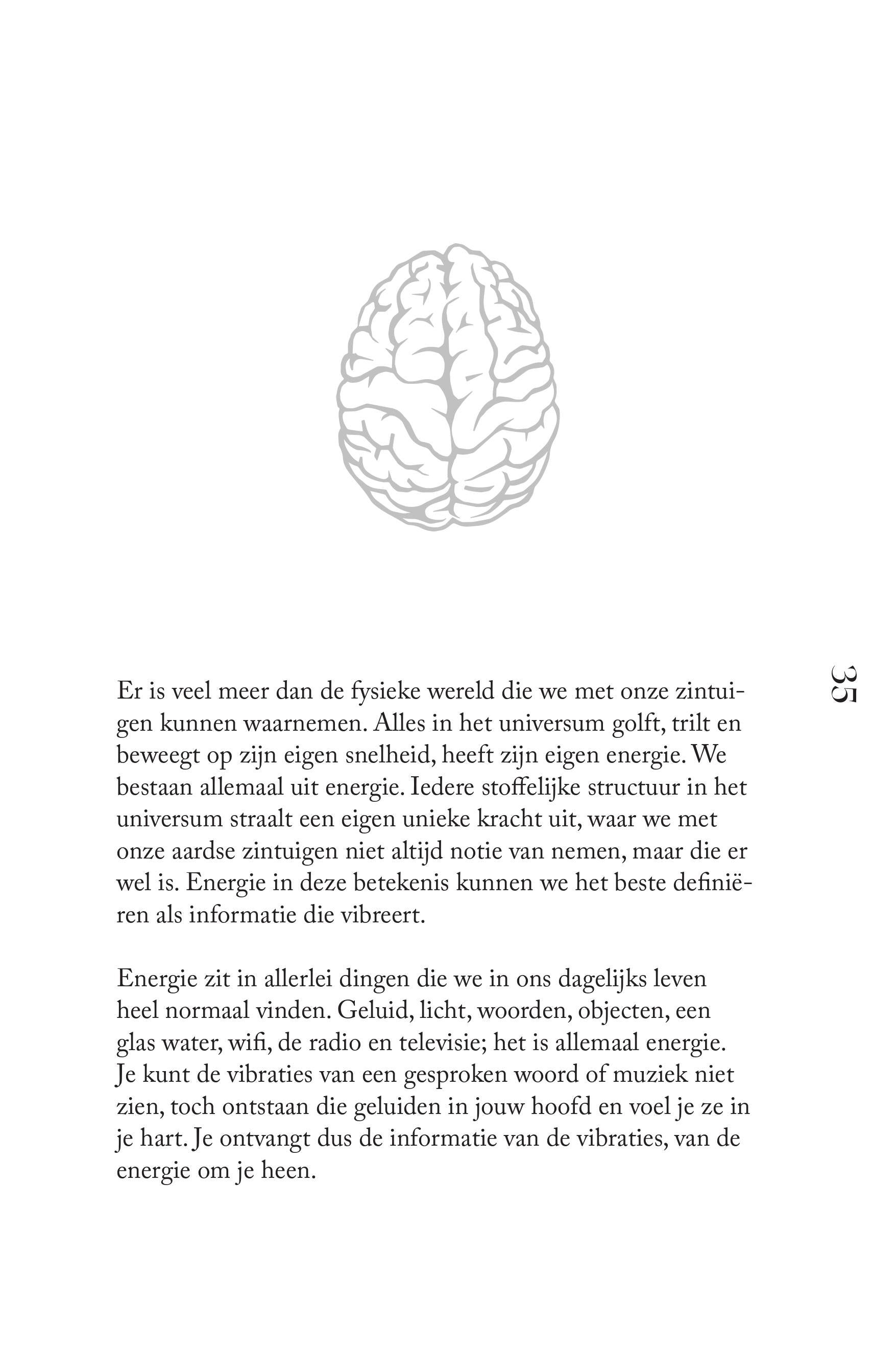 Jouw Krachtige Brein Charlotte Labee