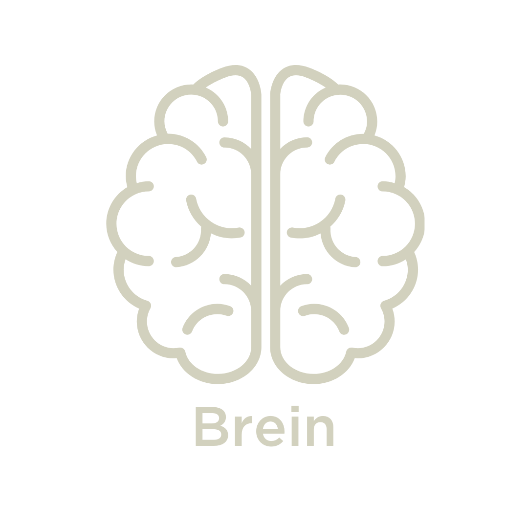 gezondheidsdoeln_brein